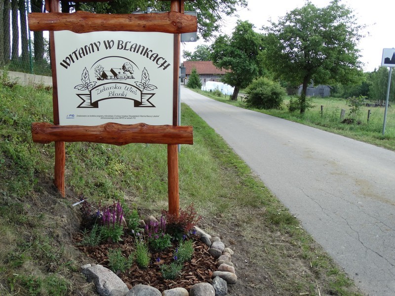 Działalność
