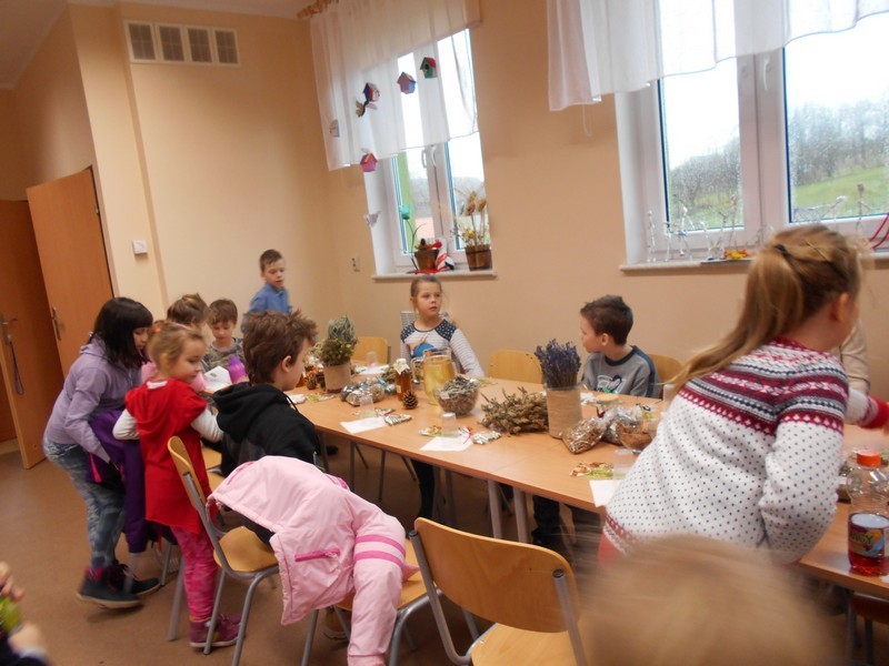 Działalność
