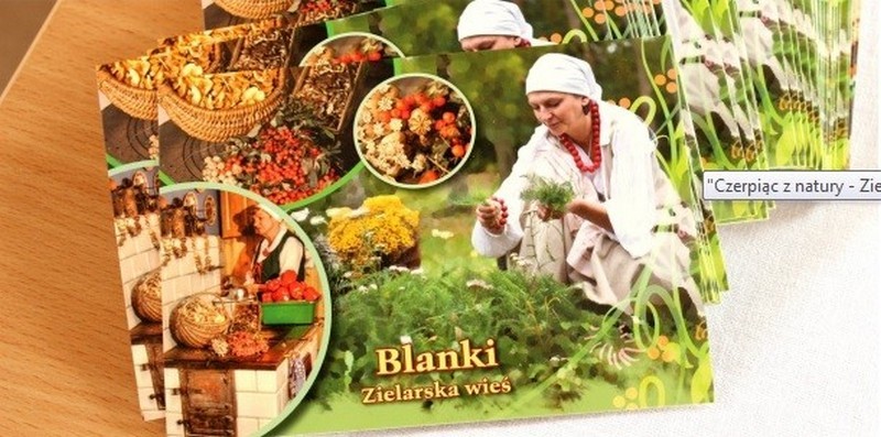 Działalność