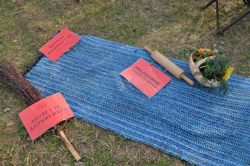 Działalność