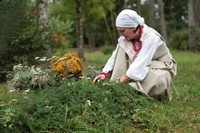 Zielarska Wieś Blanki